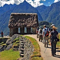 Travel Tour Group