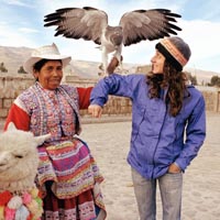 Travel Tour Group