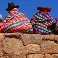 Travel Tour Group