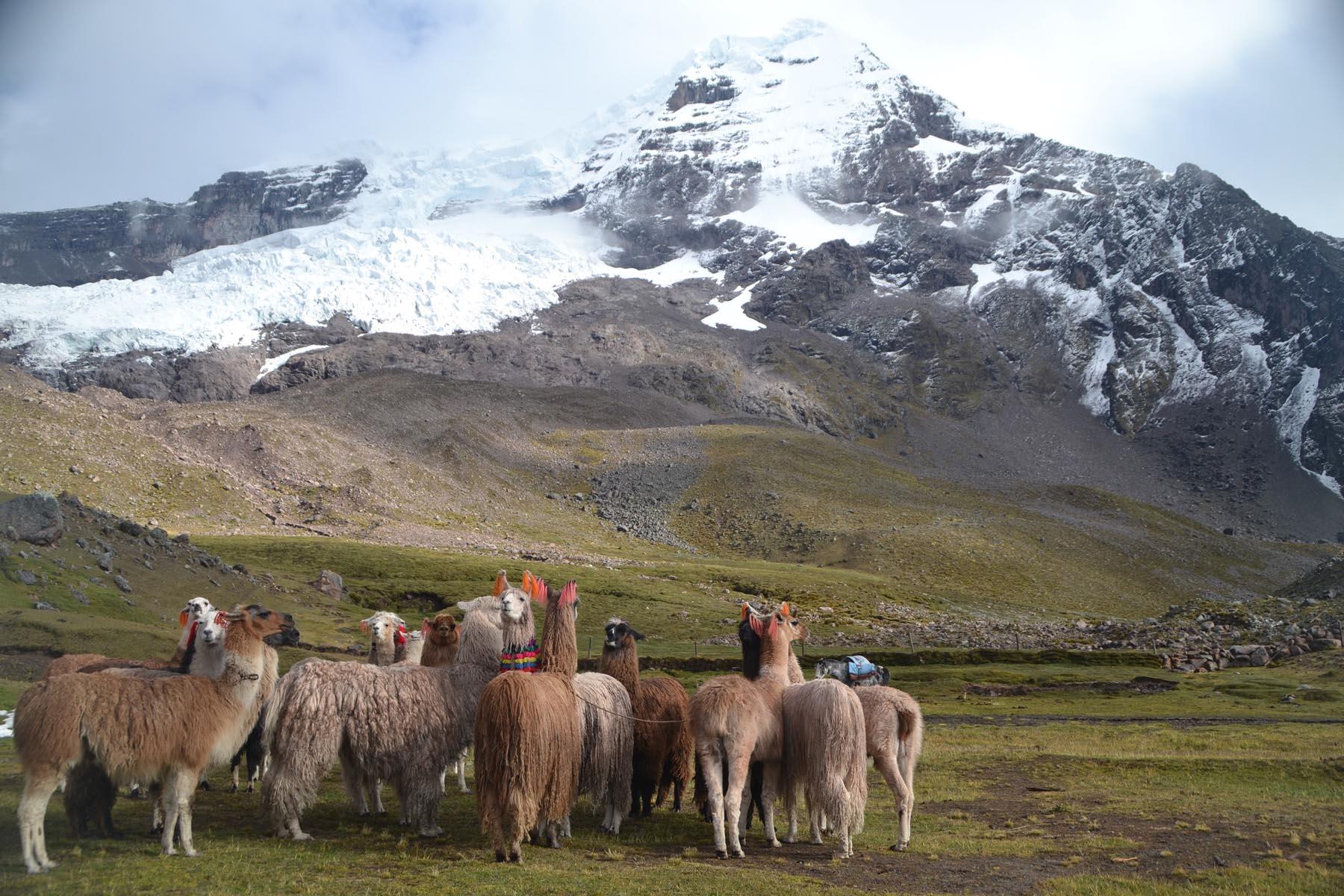 Ausangate Peru Trek