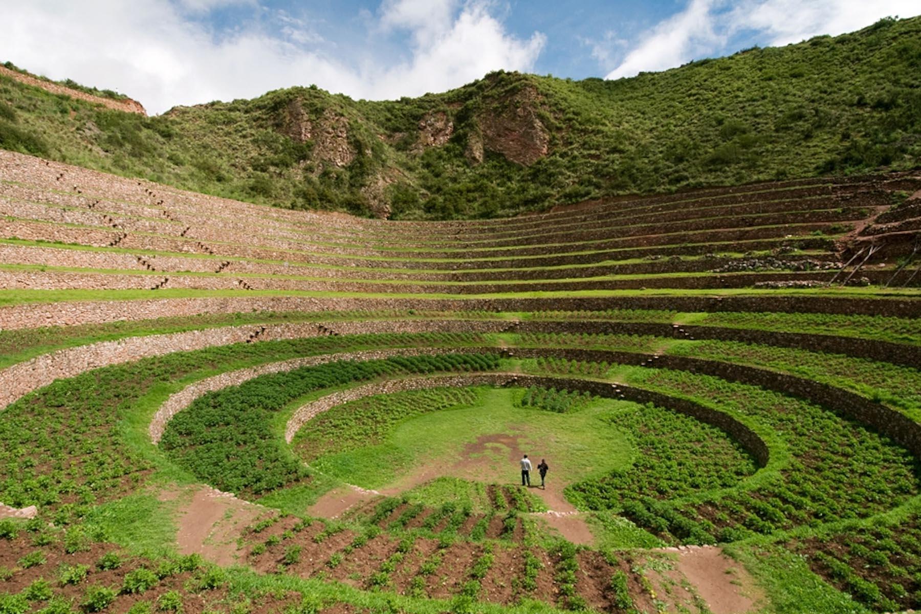 Maras Moray & Salt Mines Tour