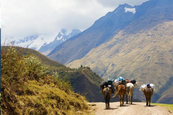 5 Day Salkantay Trek