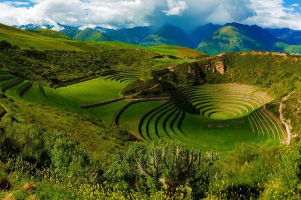 Amazon Rainforest and Machu Picchu