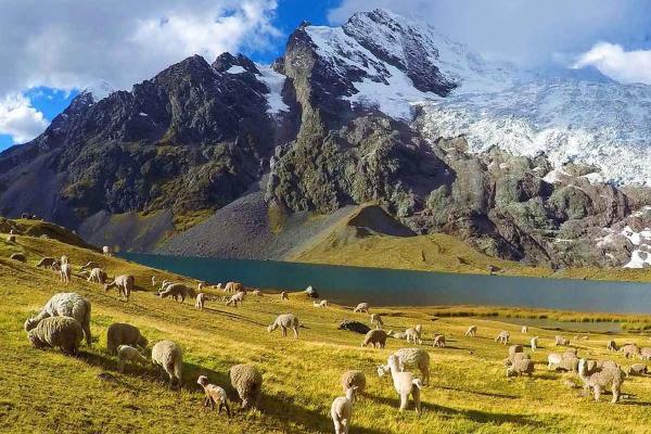 Ausangate Trek