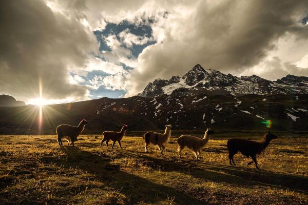 Ausangate Trek
