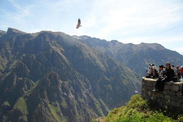 Colca Canyon Expedition