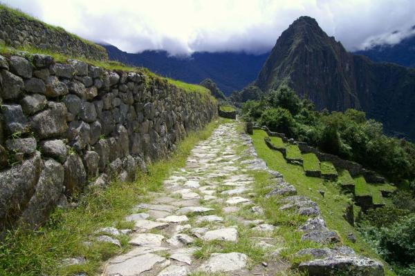 Cusco Jungle Tours