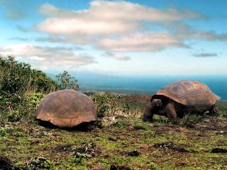 Galapagos and Ecuador