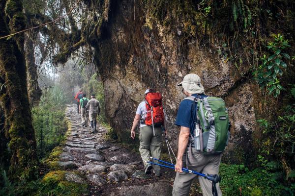 Jungle Trek Machu Picchu