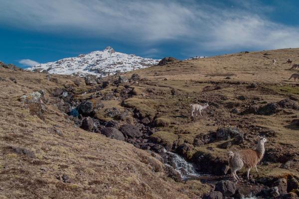 Lares Trek to Machu Picchu