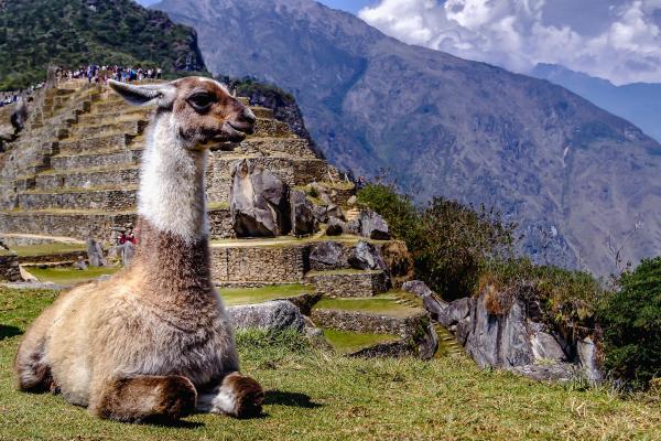 Machu Picchu Travel