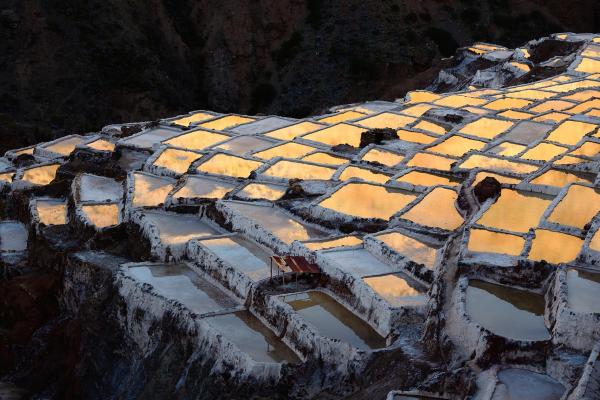 Maras Moray & Salt Mines Tour