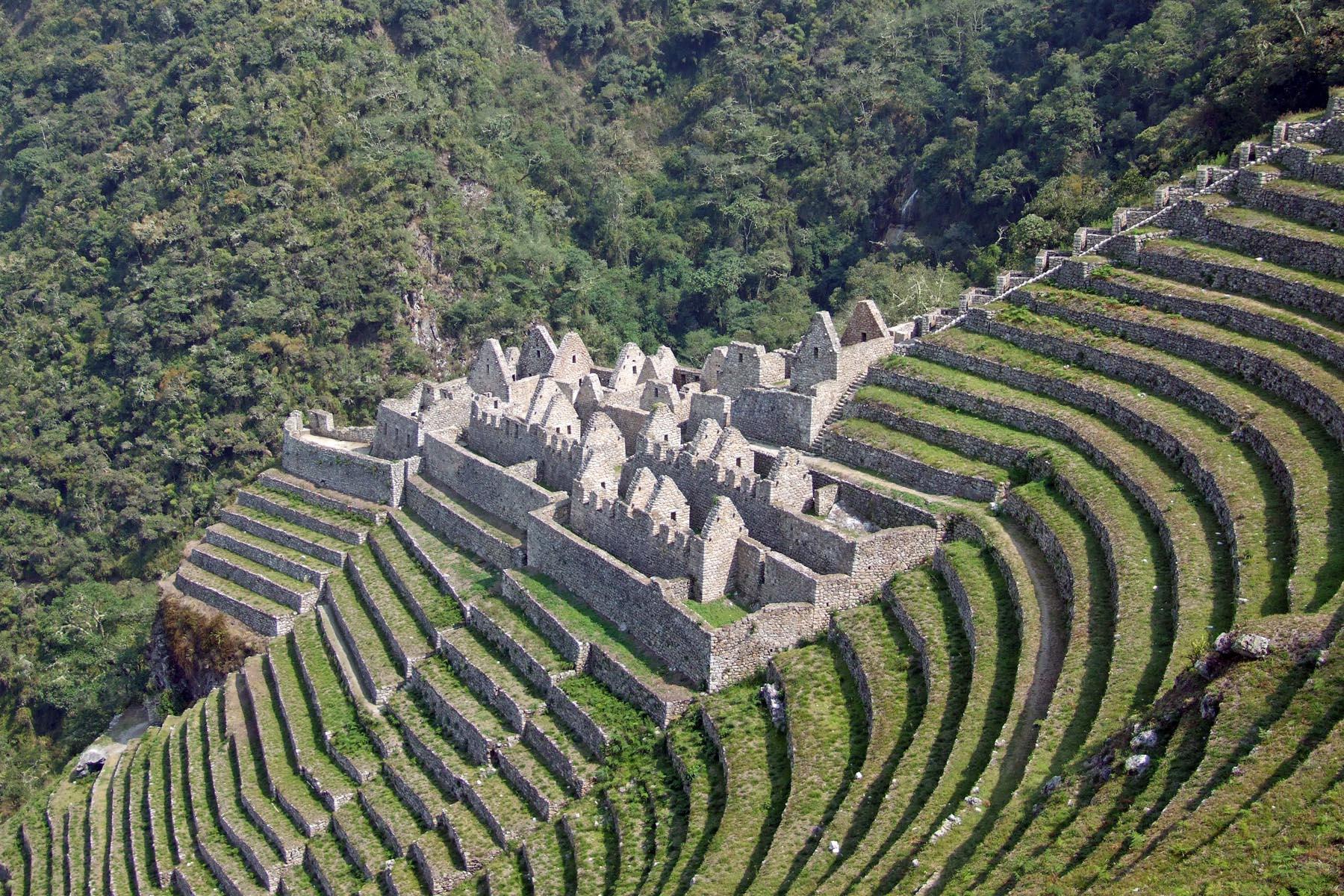Peru Explorer